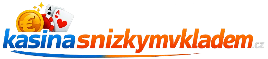 Kasinasnizkymvkladem